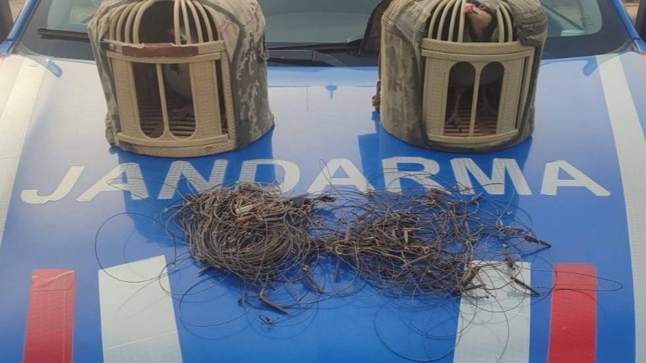 Kırşehir'de tuzakla keklik avlayan 2 kişi yakalandı