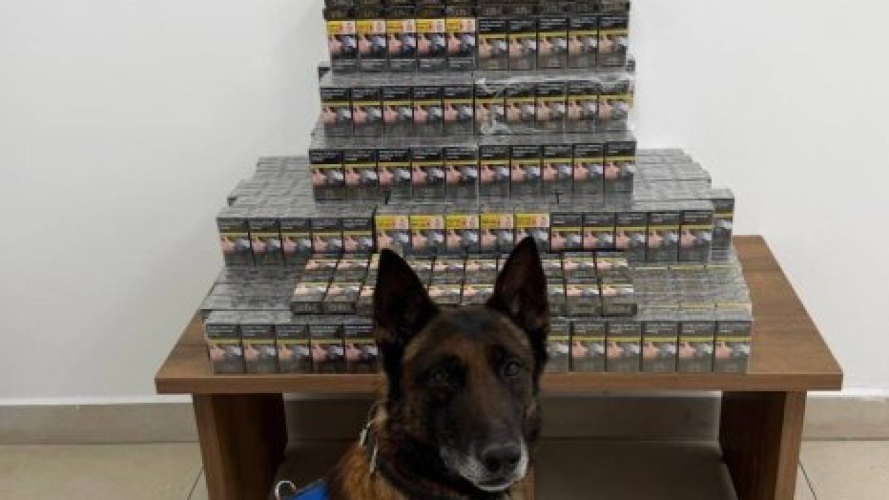 Niğde'de kaçakçılık operasyonunda 1 zanlı yakalandı