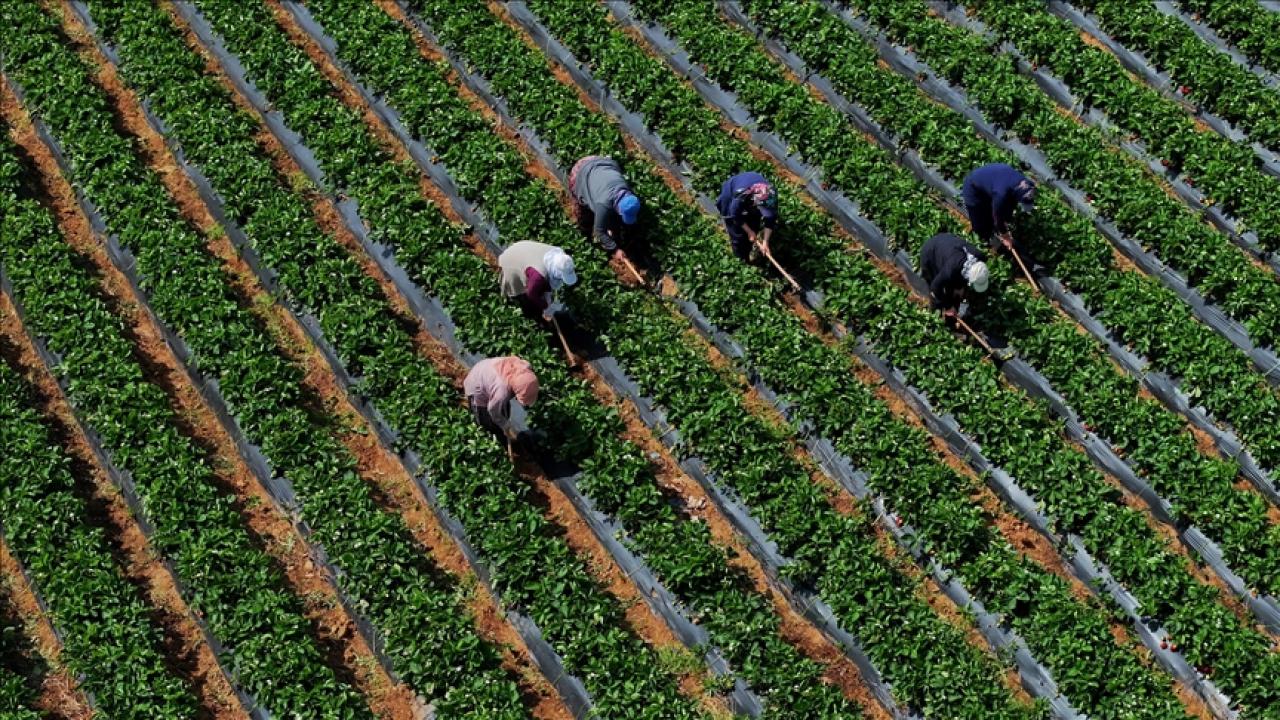 Ödemeler yarın yapılacak