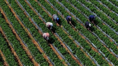 Ödemeler yarın yapılacak