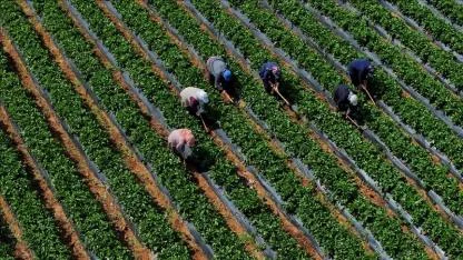 Ödemeler yarın yapılacak