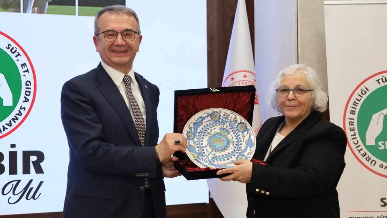 SETBİR Başkanlığına Fatma Can Sağlık seçildi