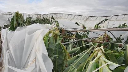 Şiddetli rüzgar yıktı geçti
