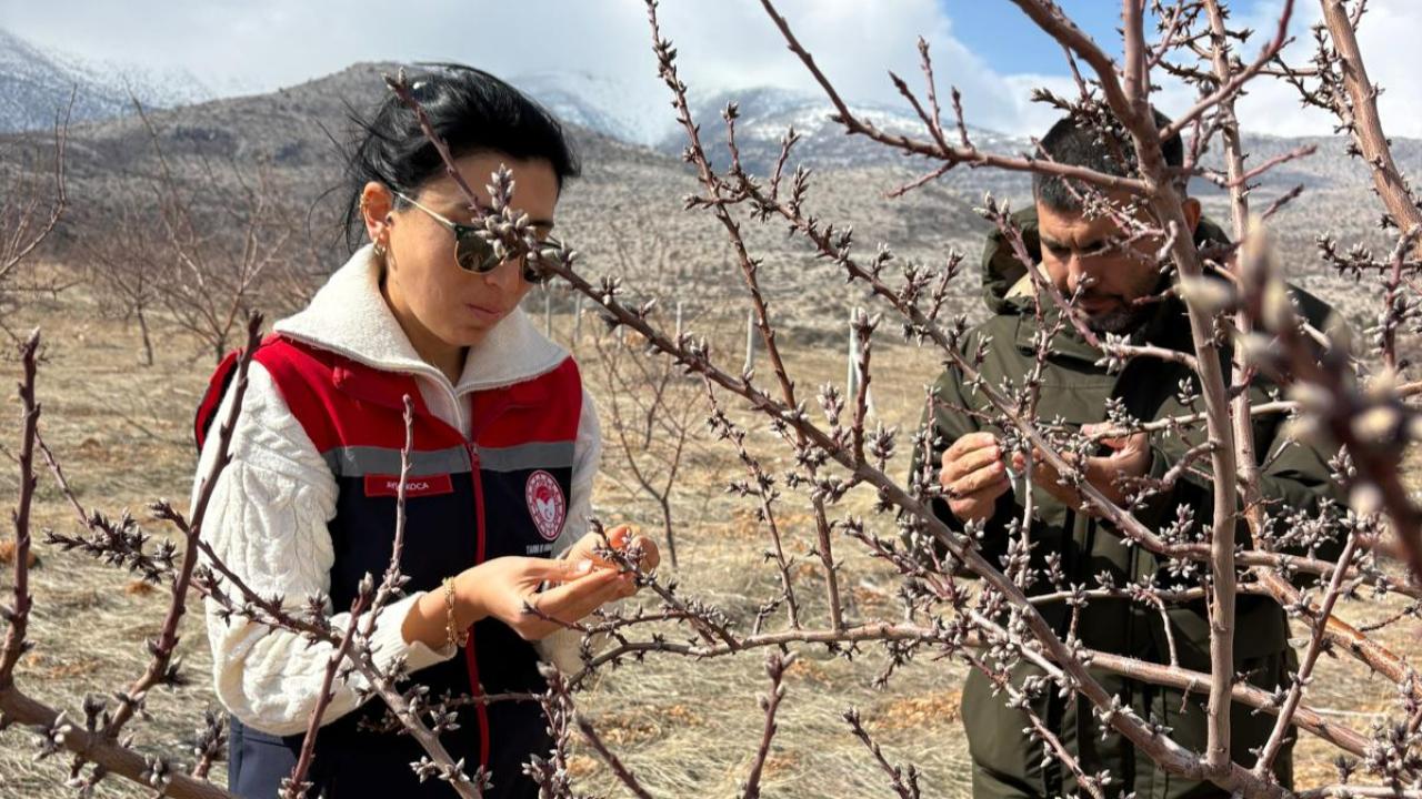 Tarım ekipleri sahada