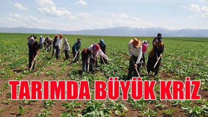 Tarımda büyük kriz
