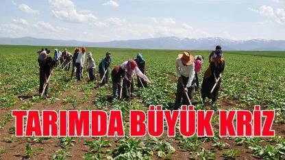 Tarımda büyük kriz