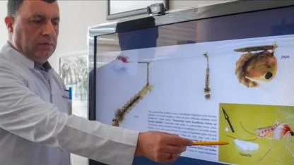 Uzmanlardan sivrisinek uyarısı