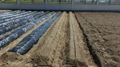 Kayseri'de Doğal Ürünler Bahçesi ve Pazarı'nda yeni sezon hazırlıkları başladı