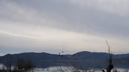 Çubuk'taki Koyunbaba Göleti'nde kuş hareketliliği başladı