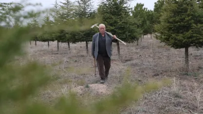 Erdoğan amca diktiği 12 bin fidanla bozkırı yeşille buluşturdu