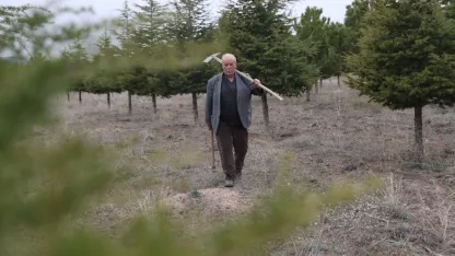 Erdoğan amca diktiği 12 bin fidanla bozkırı yeşille buluşturdu