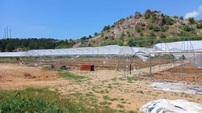 Sarıcakaya'da seraya zarar verdiği iddia edilen zanlı aranıyor