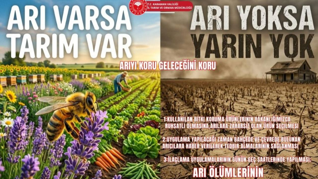 Arıyı koru geleceğini koru