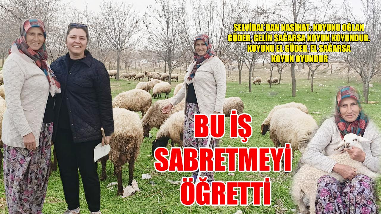 Bu iş sabretmeyi öğretti