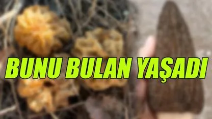 Bunu bulan yaşadı