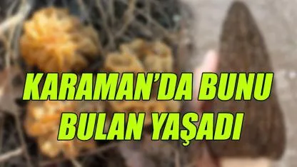 Karaman'da bunu bulan yaşadı