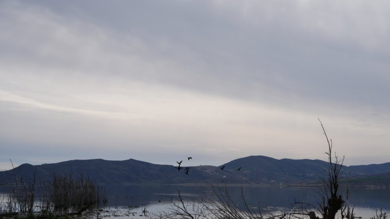 Çubuk'taki Koyunbaba Göleti'nde kuş hareketliliği başladı
