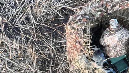 Geleneksel avcılığa yasal zemin