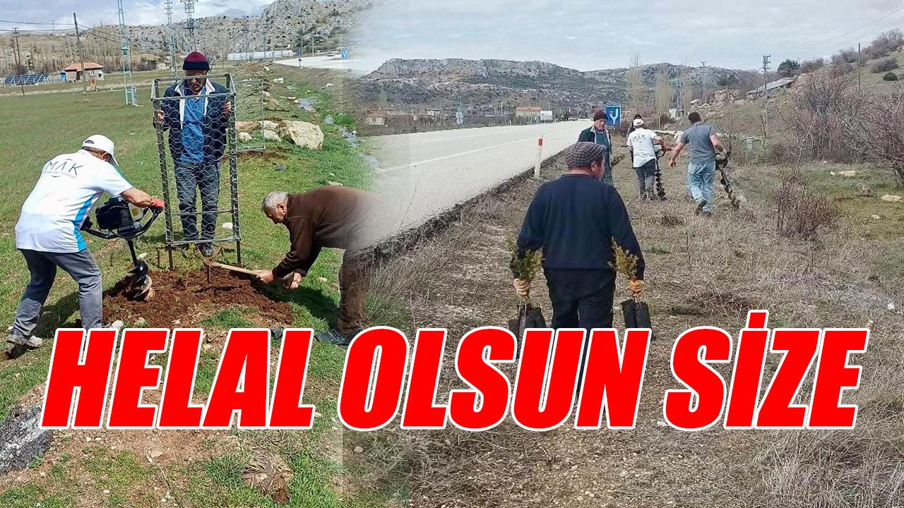 Helal olsun size