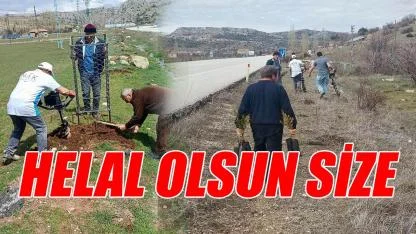 Helal olsun size