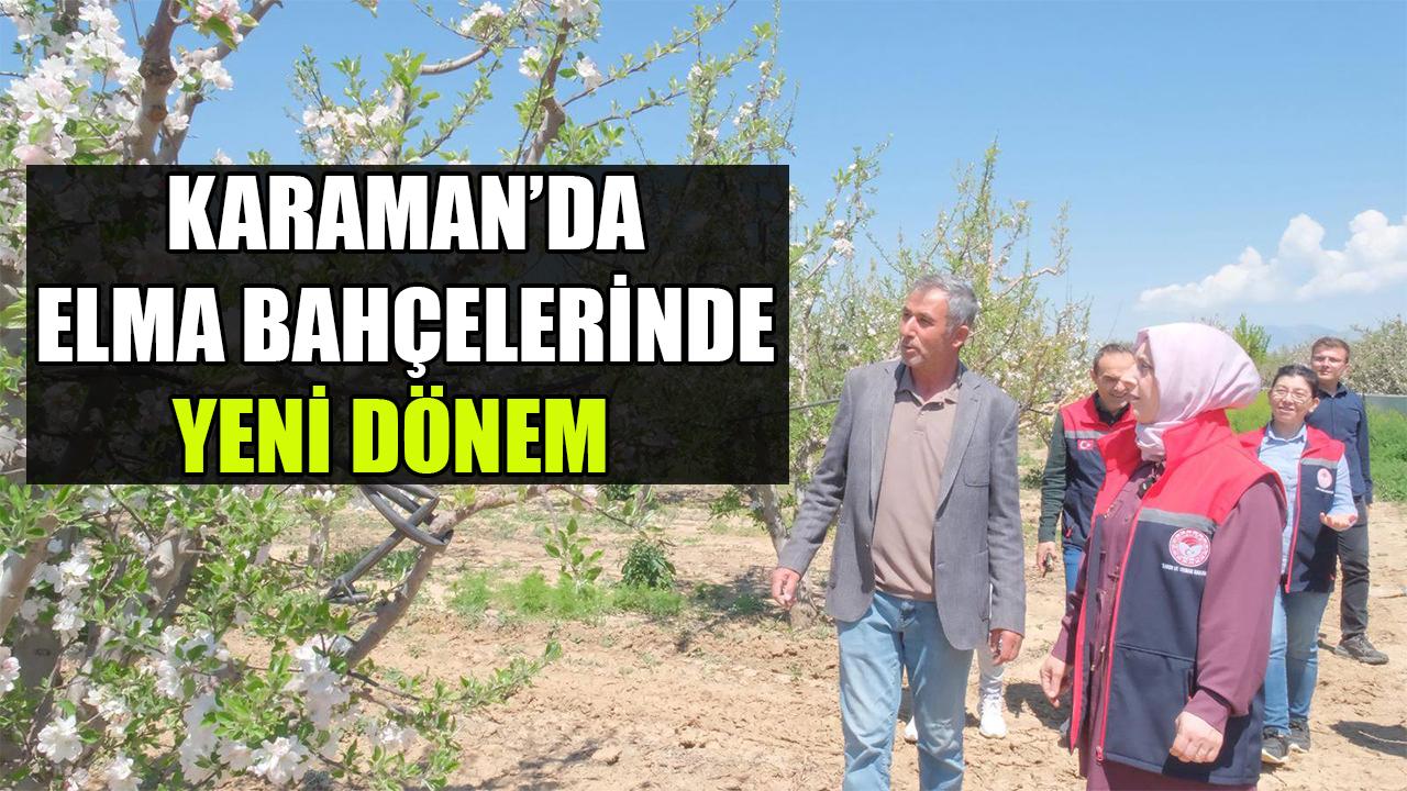 Karaman’da elma bahçelerinde yeni dönem