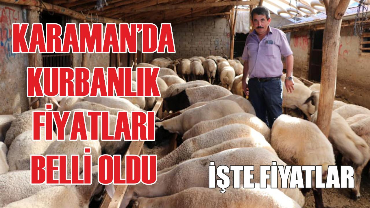 Karaman’da kurbanlık fiyatları belli oldu