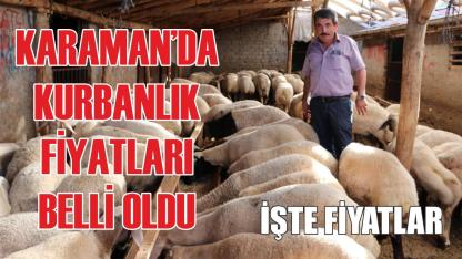 Karaman’da kurbanlık fiyatları belli oldu