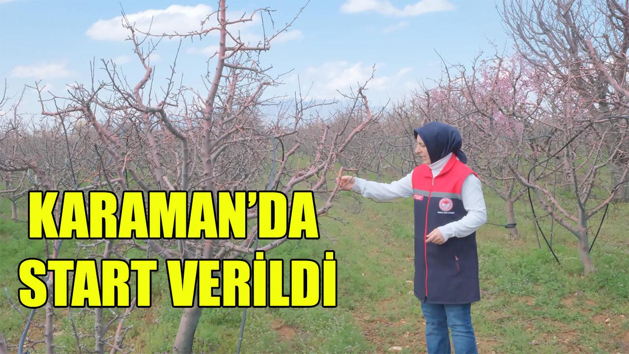 Karaman'da start verildi