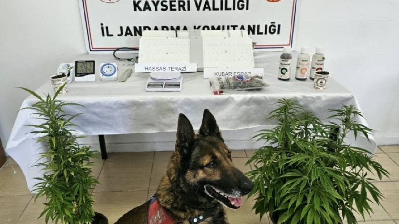 Kayseri'de uyuşturucu operasyonunda 1 zanlı yakalandı