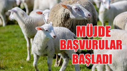 Müjde başvurular başladı
