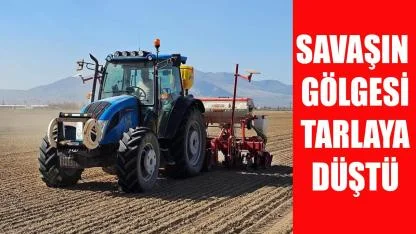 Savaşın gölgesi tarlaya düştü