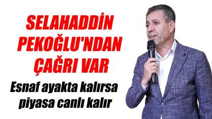 Selahaddin Pekoğlu'ndan çağrı var