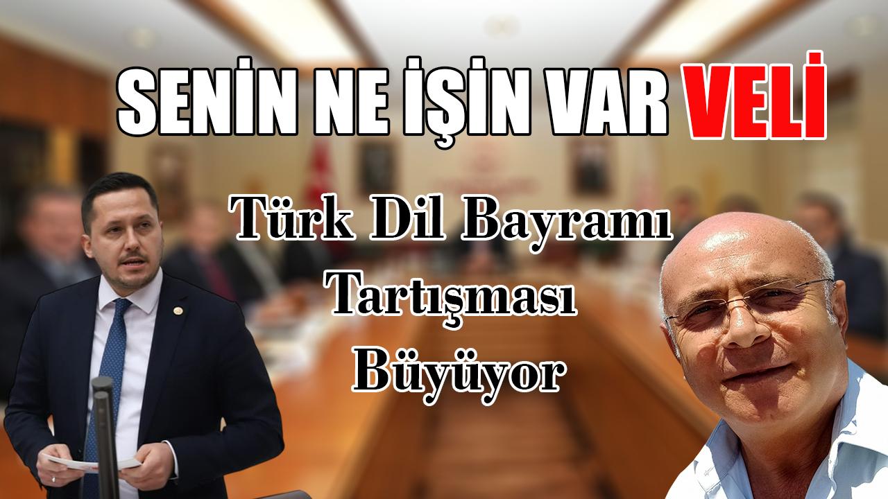 Senin ne işi var Veli