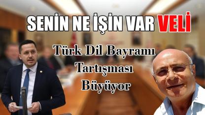 Senin ne işi var Veli