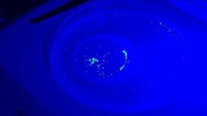 Su ürünleri üretimi düşürebilir