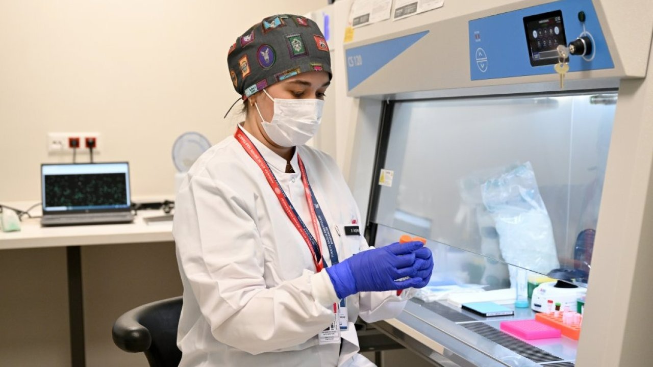 Türkiye'de kan kanseri hastaları için "hücre" tedavisi dönemi başladı