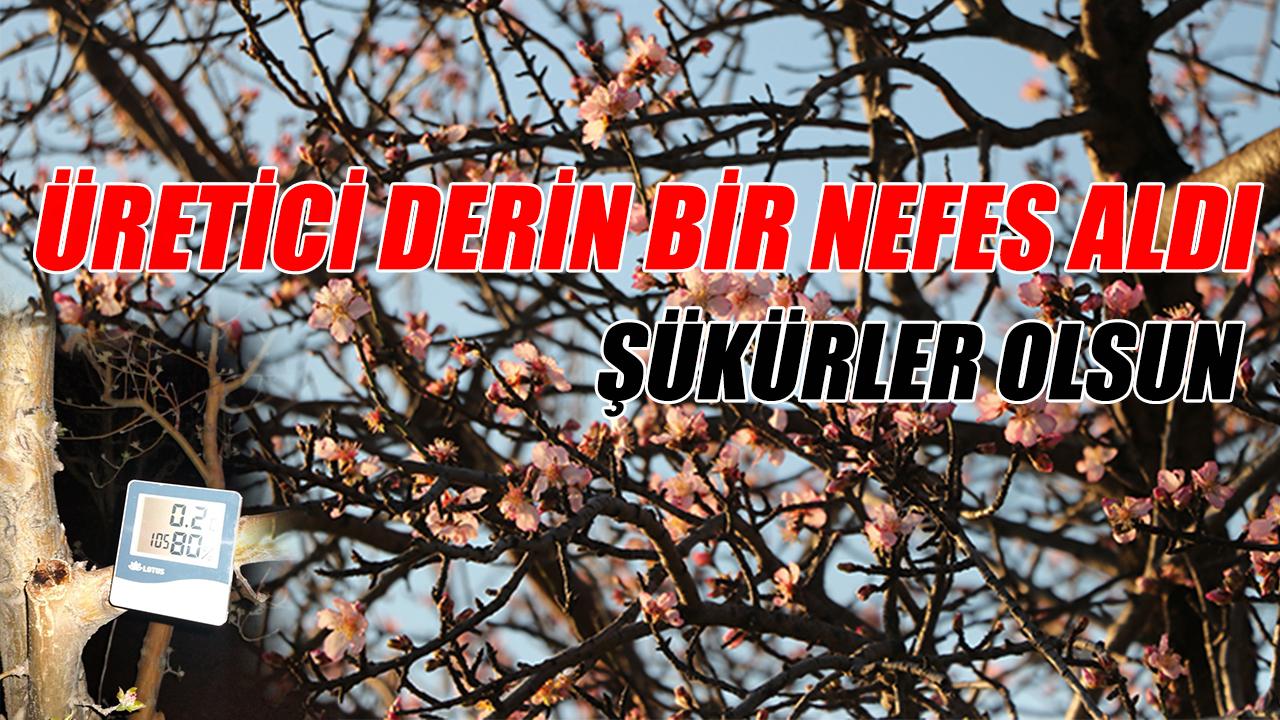 Üretici derin nefes aldı