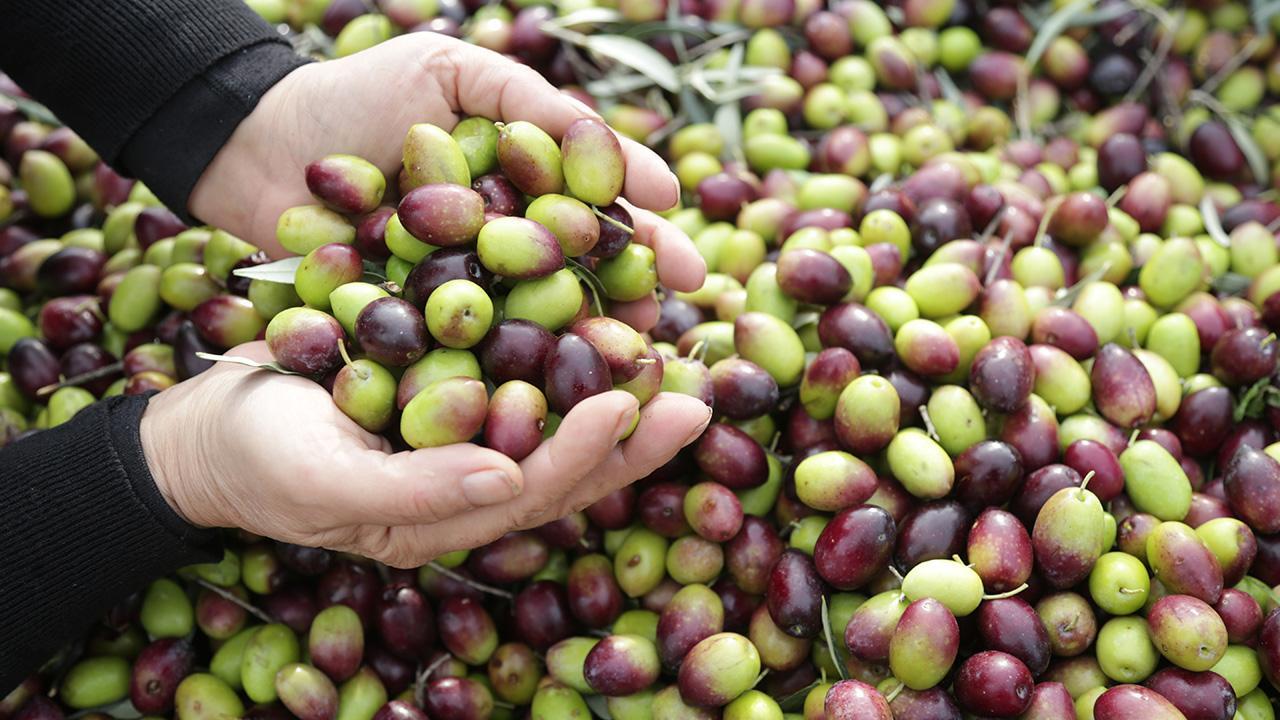 Üretimde Türkiye rüzgarı