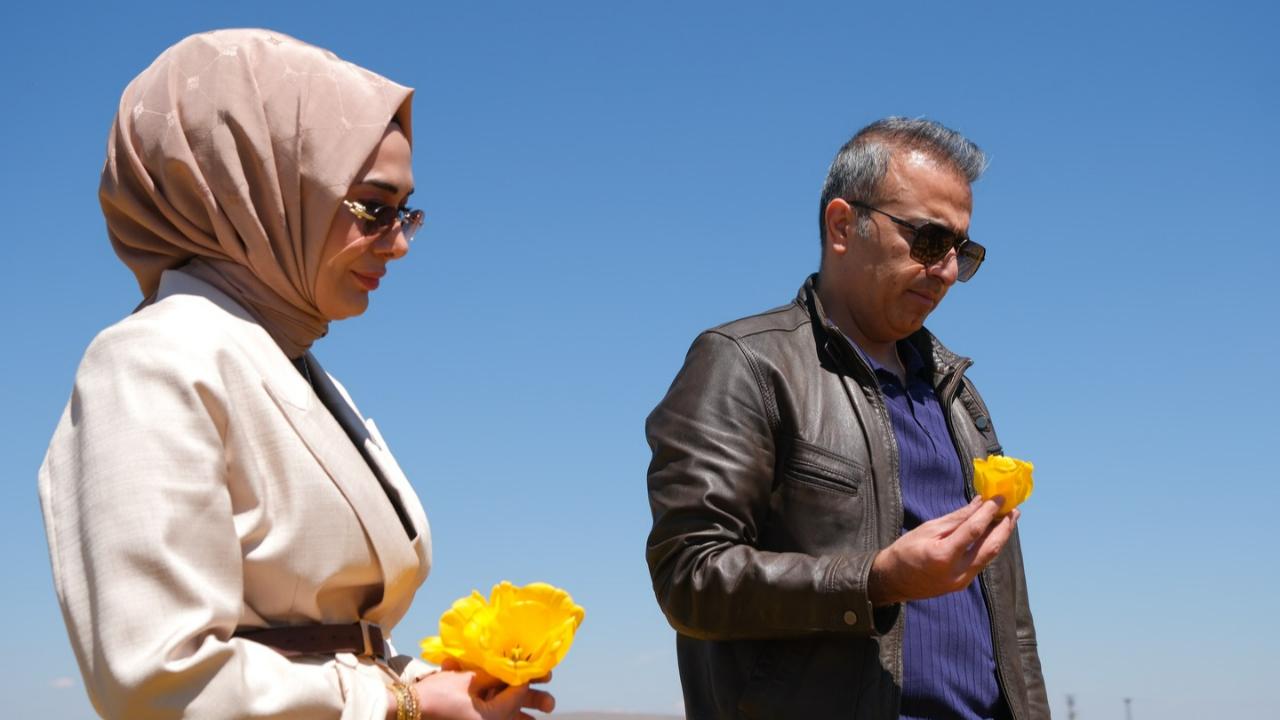 Vali Çiçek yerinde incelendi